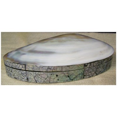9" White River Clam and Mother of Pearl Velvet Lined Box