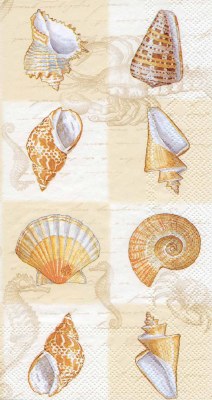 8" x 5" Cream and Beige Sound Sea Guest Towels