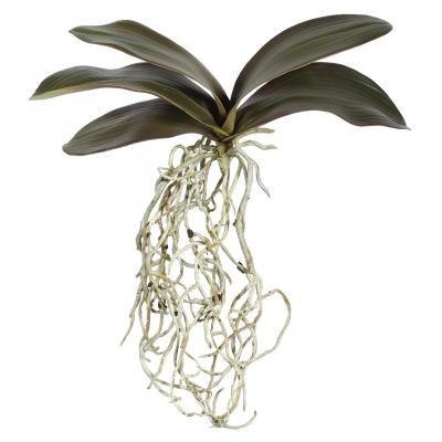 22" Artificial Phalaenopsis Leaves & Root Tangle