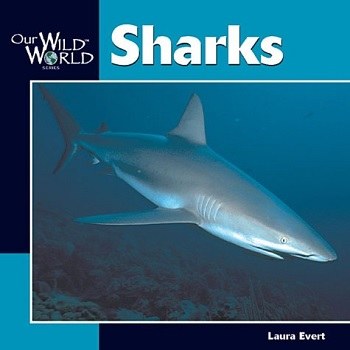 Sharks Our Wild World Children's Book