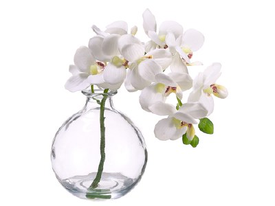 10" Faux Cream Phalaenopsis in Glass Vase