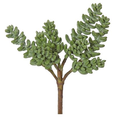 9" Faux Sage Green Artificial Dogtail Succulent