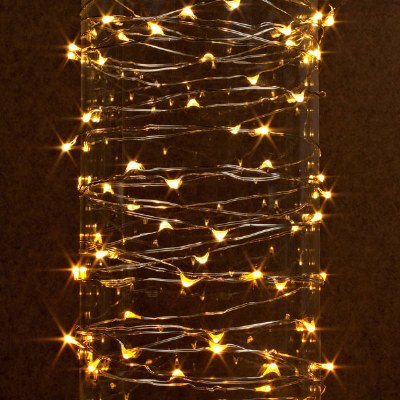 240" Outdoor Warm White 60 LED String