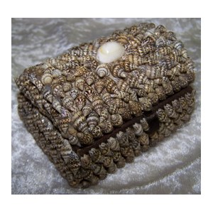 4" Small Rectangular Nassa Shell Jewelry Box