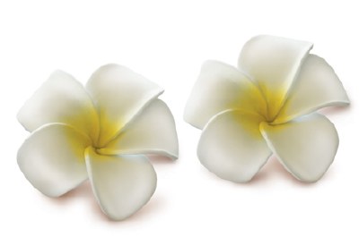 Set of 2 White and Yellow Foam Plumeria Flower Hair Clips