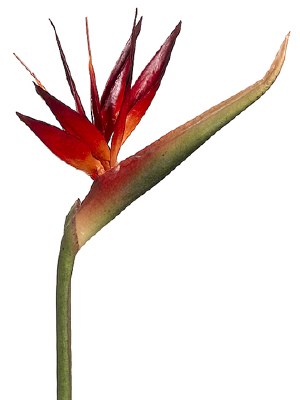 39" Faux Brick Red Artificial Two Tone Bird of Paradise