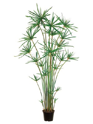 72" Artificial Potted Cypress Grass