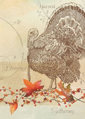 Harvest Blessings Turkey Thanksgiving Card  Fall and Thanksgiving
