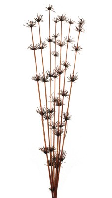 36" Brown Dried Star Bamboo Stalks