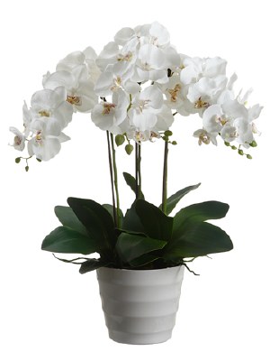 28" Faux White Phalaenopsis in White Pot