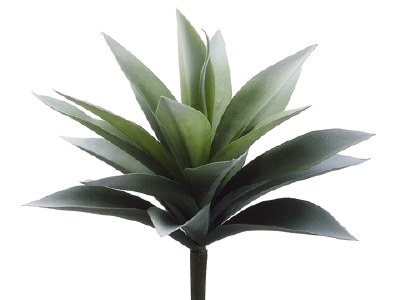 11" Faux Frosted Green Artificial Agave