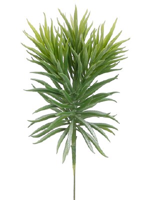 7" Faux Green Artificial Senecio Succulent