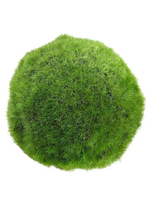 4" Green Moss Orb