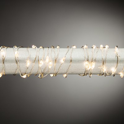 60" Warm White 30 LED Twinkling Lights String