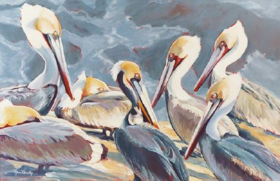 30" x 40" 7 Pelicans Canvas
