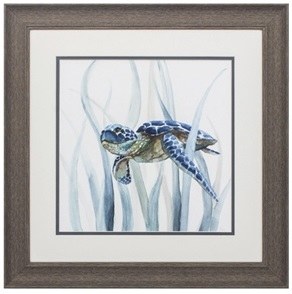 19" Square Right-facing Turtle in Seagrass Framed Print Under Glass
