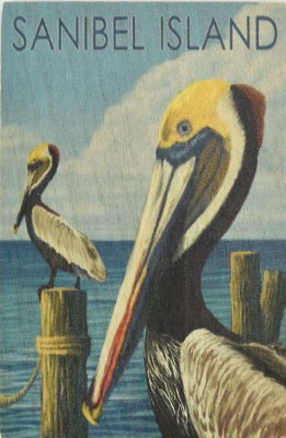 Sanibel Island Pelicans Wood Magnet