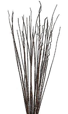 36" - 40" Dark Brown Dried Caba Spines