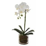 18" Faux White Phalaenopsis in Glass Vase