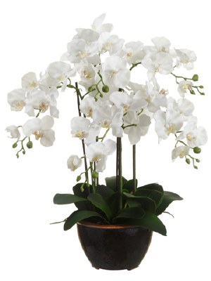 24" Faux White Phalaenopsis in Ceramic Pot