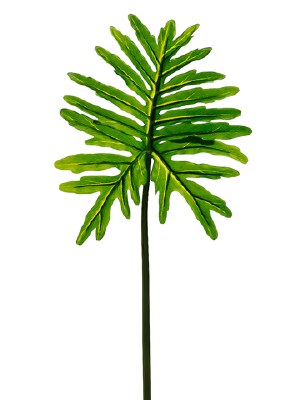 36" Artificial Selloum Leaf