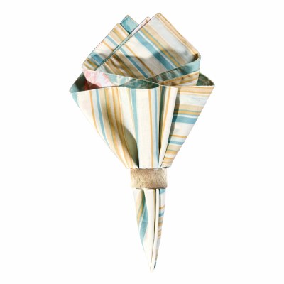 20" Square Santa Catalina Cloth Napkin