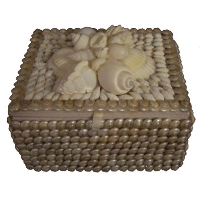 7" White Mixed Shell and Pearled Umbonium Jewelry Box