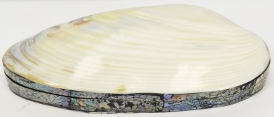 11" White Clam Shell Box
