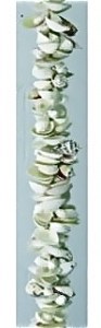 64" White Shell Cluster Garland