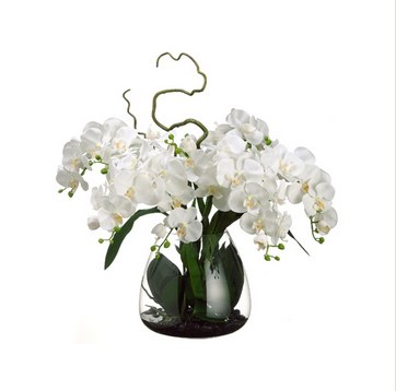 28" Faux White Phalaenopsis Orchid in Glass Vase