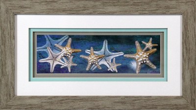 16" x 28" Starfish on Blue Matted Print Under Glass