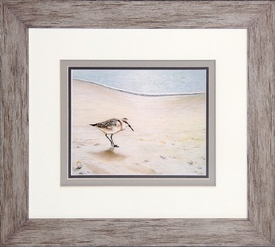 20" x 18" Lone Sandpiper on Beach Matted Print Under Glass