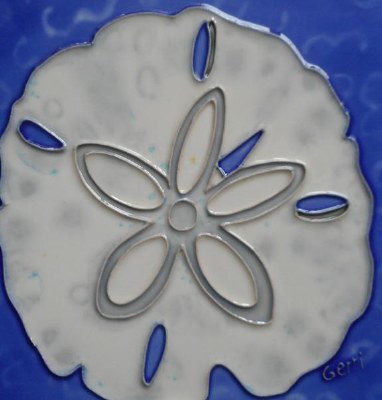 6" Square White Sand Dollar on Blue Ceramic Tile