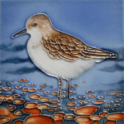 8" Square Multicolor Sandpiper Wading Ceramic Tile