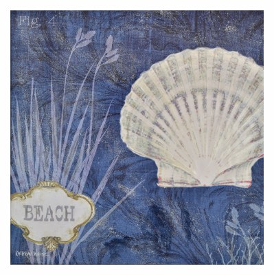 24" Square Beige Scallop on Navy Blue Canvas