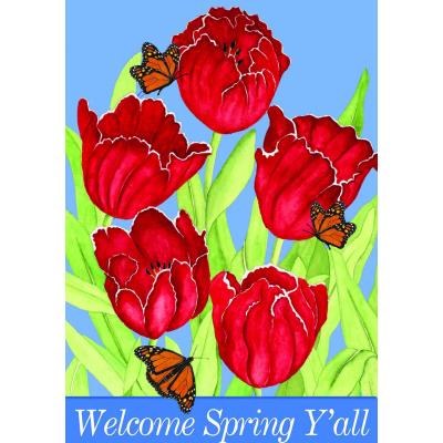 40" x 28" Large Welcome Spring Y'all Flag