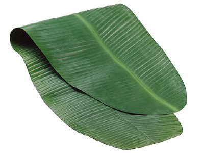 18" x 48" Green Banana Leaf Table Runner
