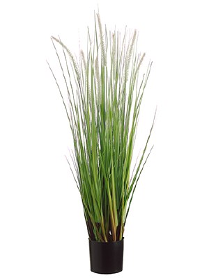 36" Faux Dogtail Grass in Black Pot