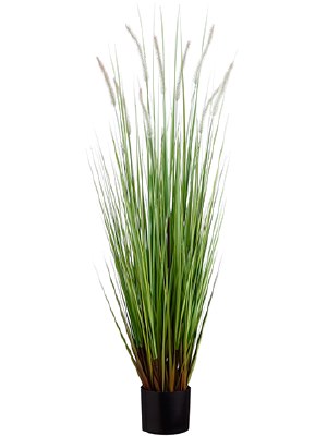 48" Faux Green Dogtail Grass in Black Pot