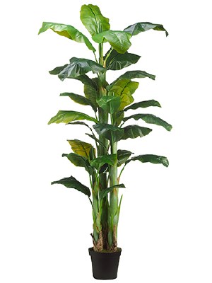 90" Green Artificial Banana Tree in Black Pot