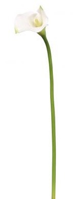 20" Faux White Artificial Calla Lily Spray