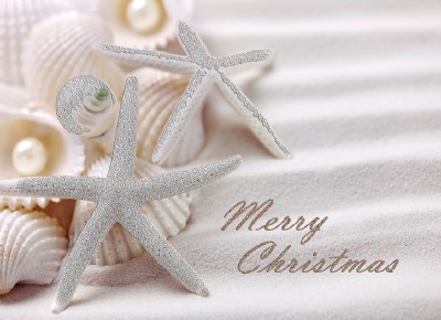 Box of 14 6" x 8" White Glitter Shells Merry Christmas Greeting Cards