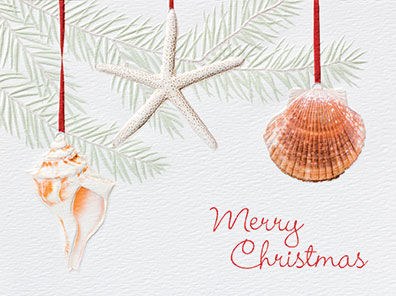 4" x 6" Box of 10 Ocean Ornaments Merry Christmas Greeting Cards