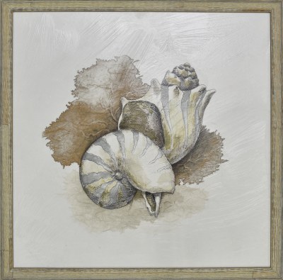 24" x 24" Gray and Taupe Nautilus Sea Life Study Gel Textured Print with No Glass