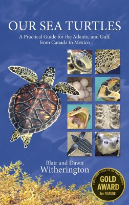 Our Sea Turtles Practical Guide Book