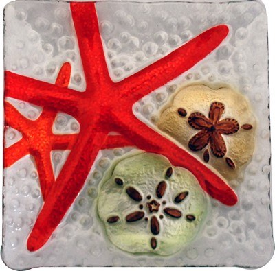 12" Square Starfish and Sand Dollar Fused Glass Plate