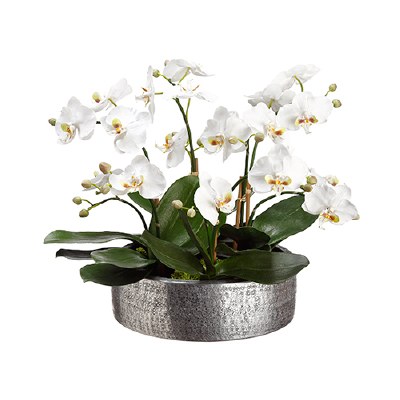 19" Faux White Phalaenopsis Arrangement in Aluminum Dish