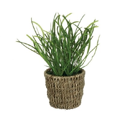 9" Faux Green Artificial Curly Grass in Woven Seagrass Pot