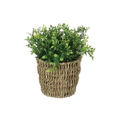 9" Faux Green Artificial Tea Leaf Grass in Woven Seagrass Pot