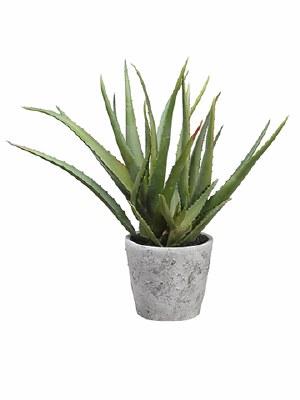 16" Faux Green Artificial Aloe Succulent in Gray Cement Pot